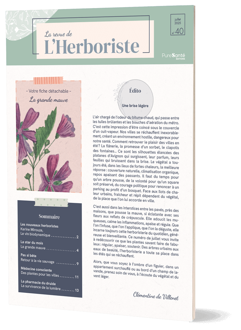 N°40 – Juillet 2025 – Mauve, la plante de toutes les inflammations
