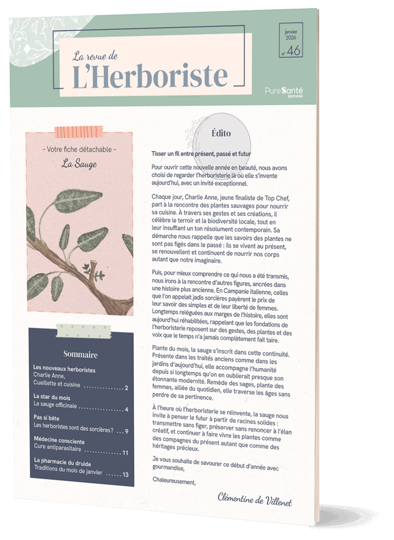 N°46 – Janvier 2026 – Sauge : elle porte bien son nom